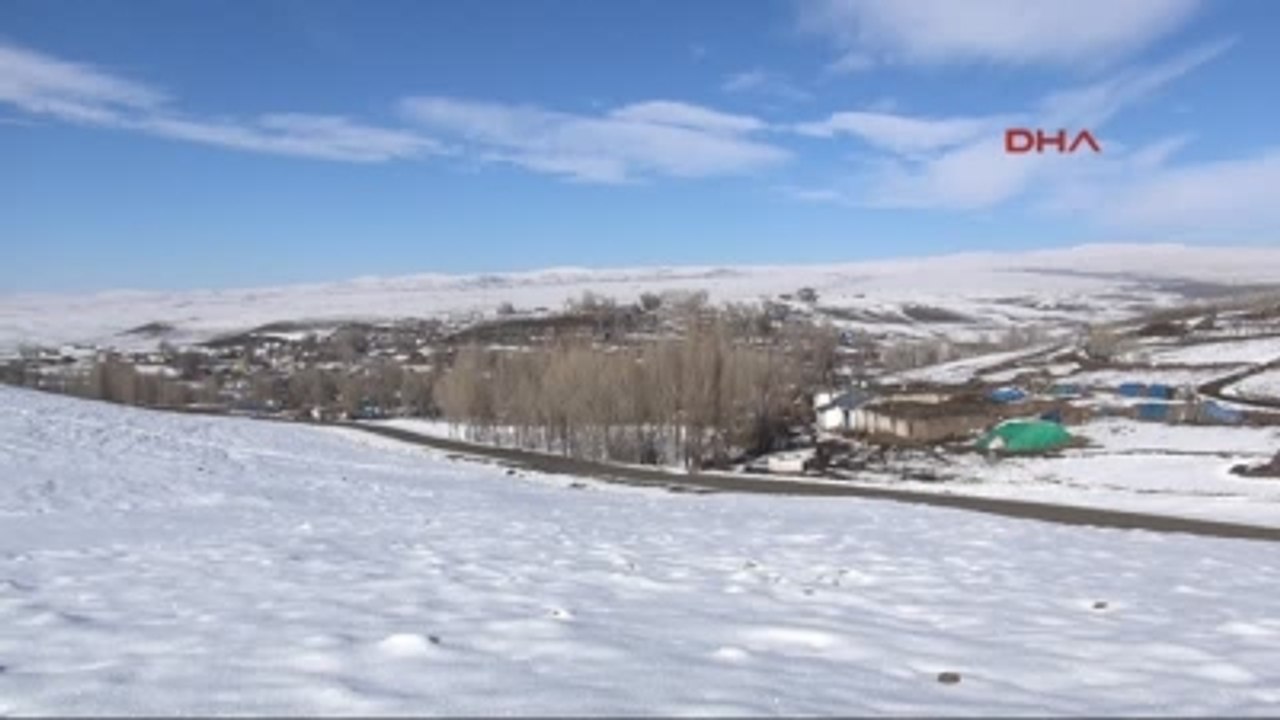 Kars Atlara Kış Tipi Çivili Nal Takılıyor