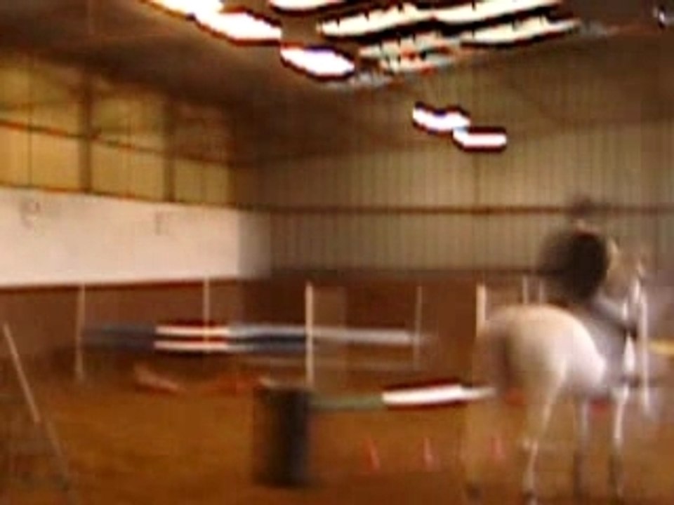 Cours D'Obstacle
