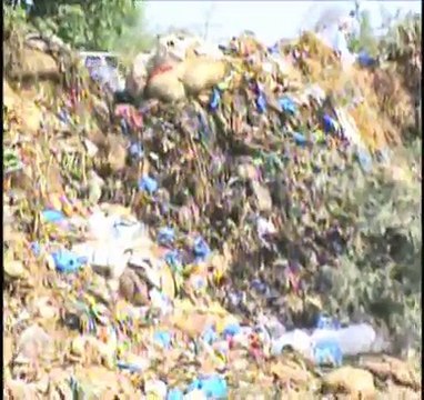 sarai alamgir arshad sina report eid ky janwaro ki aalaishein sare aam sarko pr