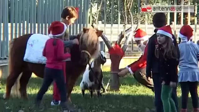 TG 23.12.14 A Bari continua il Natale della Città di Santa Claus