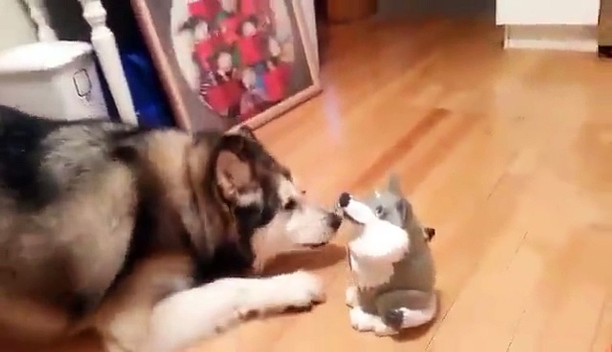 He Has A Friend