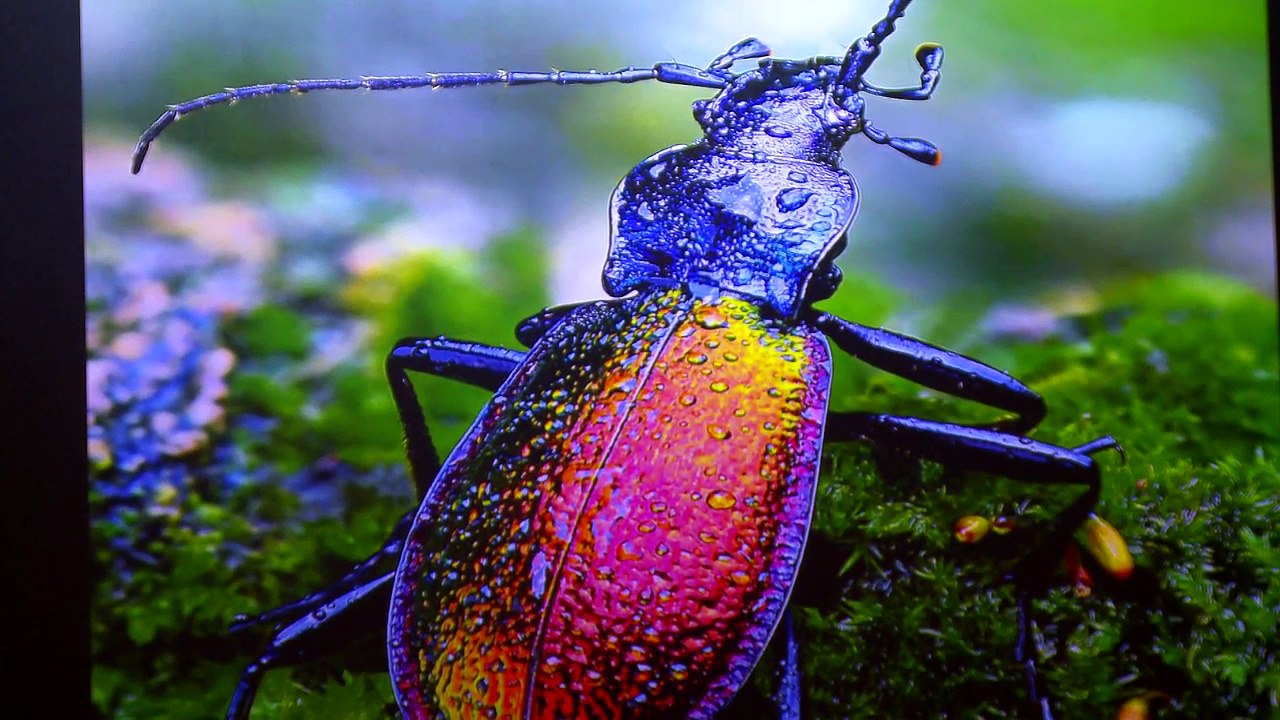 [Evénement] Exposition "Hyper Nature" sur les grilles du Jardin du Luxembourg
