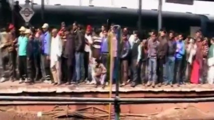 Un singe sauve un autre singe après une électrocution