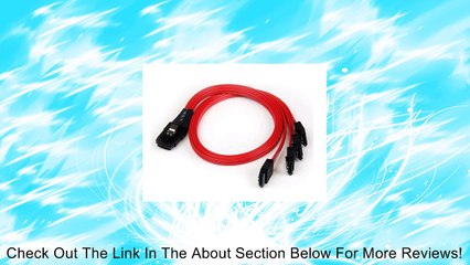 StarTech.com 50cm SFF-8087 to 4X SATA - Internal Mini SAS to SATA Reverse Cable (SAS8087S4R50) Review