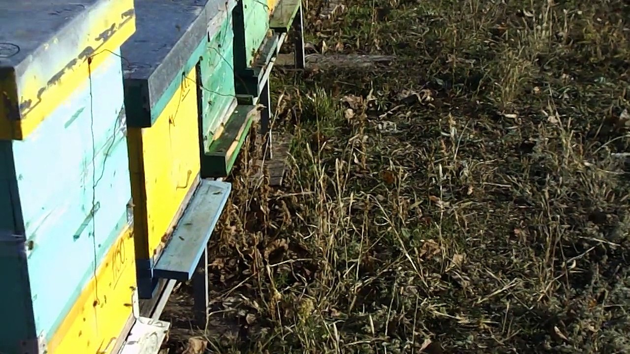 24 dec 2014