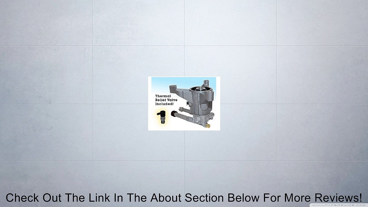 RMW2.2G24-EZ-SX: 2400 PSI, 2.2 GPM Pressure Washer Pump Review