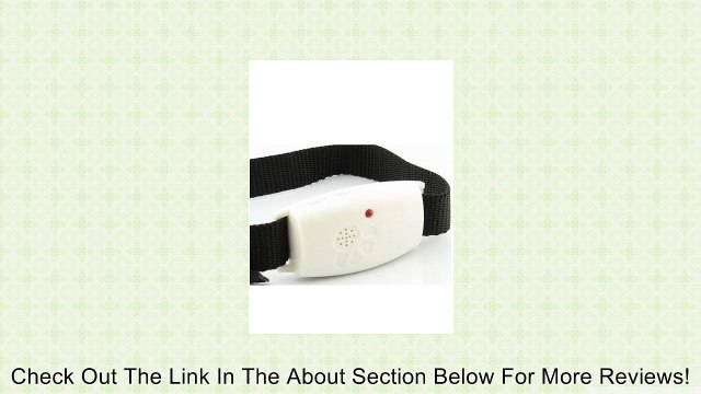 Electronic Flea and Tick Repeller Collar For Cats and Dogs Review