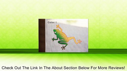 Frog Magnetic Screen magnet Review