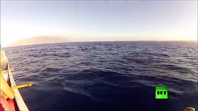 قناة الخط الأخضر | لحظة اصطدام حوت أحدب بقارب في الولايات المتحدة