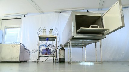 Quelle odeur avait la mort de JFK, Lady Di ou Kadhafi ?