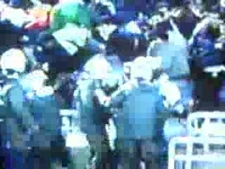 OLYMPIAKOS CRAZY FANS ( 3 )