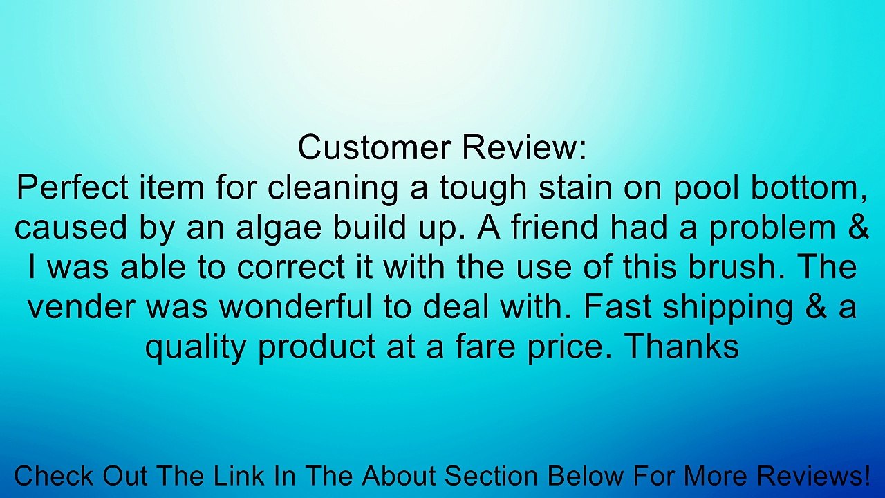 10" Swimming Pool Algae Brush Plastic Frame Stainless Steel Bristles 10 Inch Review