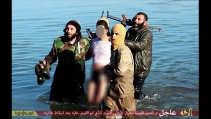 L'EI abat pour la première fois un avion de la coalition internationale