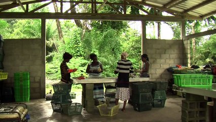 Des huîtres "made in" Gabon pour Noël