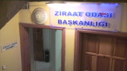 Soma İçin Ortak Bildiri: Zeytinden, Madenden, Santralden Vazgeçmeyiz