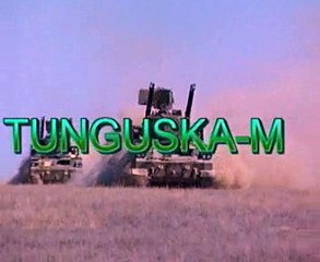 Tunguska-M anti aircraft system
