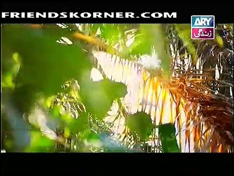 Rishtey Episode 145 on ARY Zindagi in High Quality 24th December 2014 - DramasOnline