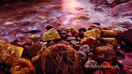 Hermosa música del piano con sonidos de la naturaleza   Música Relajante Instrumental lirios de agua