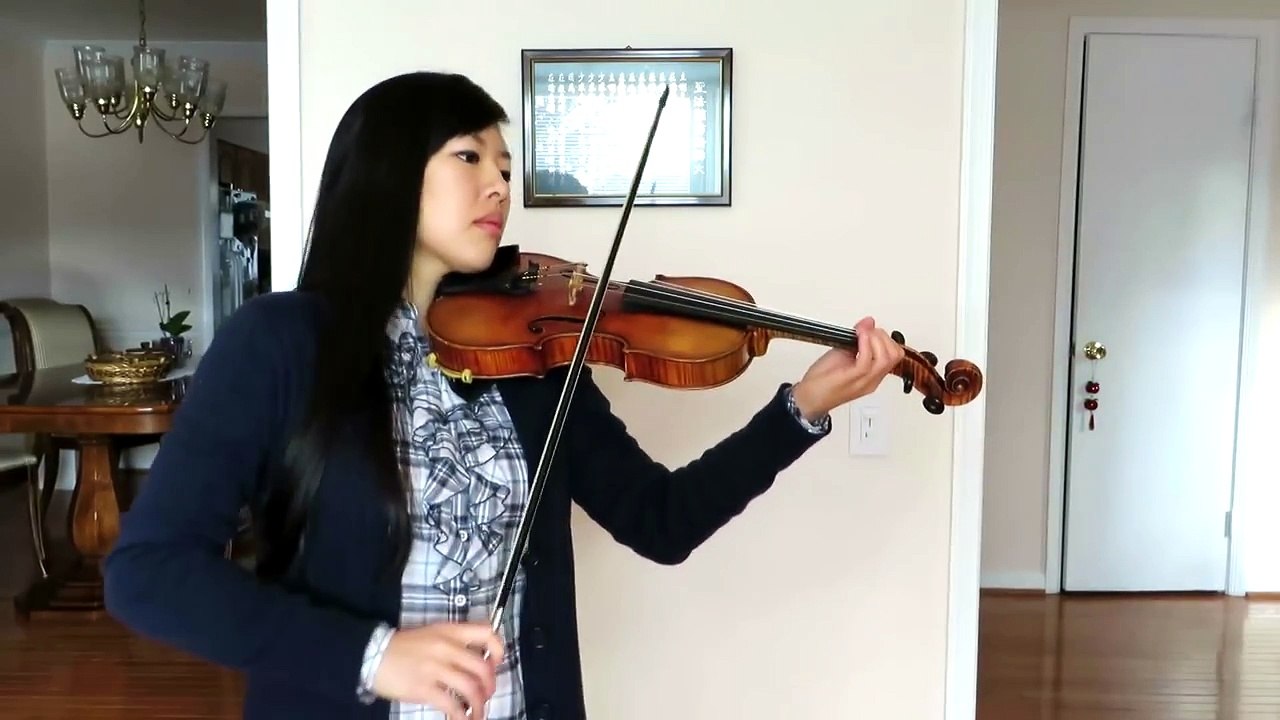 Blank Space by Taylor Swift - Violin Cover