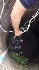Deux hommes parviennent à sauver une chienne prisonnière d'un puits !
