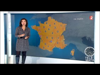 2014 12 10 - ANAIS BAYDEMIR - FRANCE 2 - LA METEO