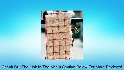 Songbird Essentials SE7021 Hummer Helper Cage and Nesting Review