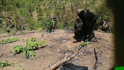 Vergonha e falta de respeito um fim de 2014 triste.
