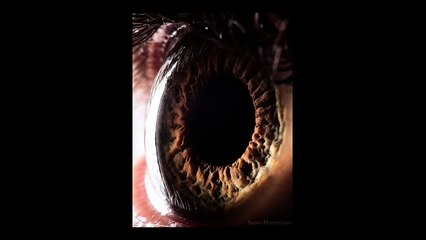 AphoenixD - Amazing Eyes Close Ups Photography by Suren Manvelyan