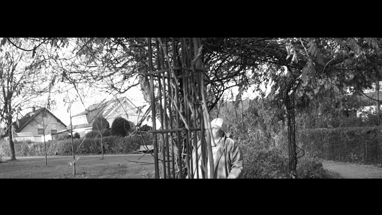 D-Kais and Friends - Musik für die Herzen