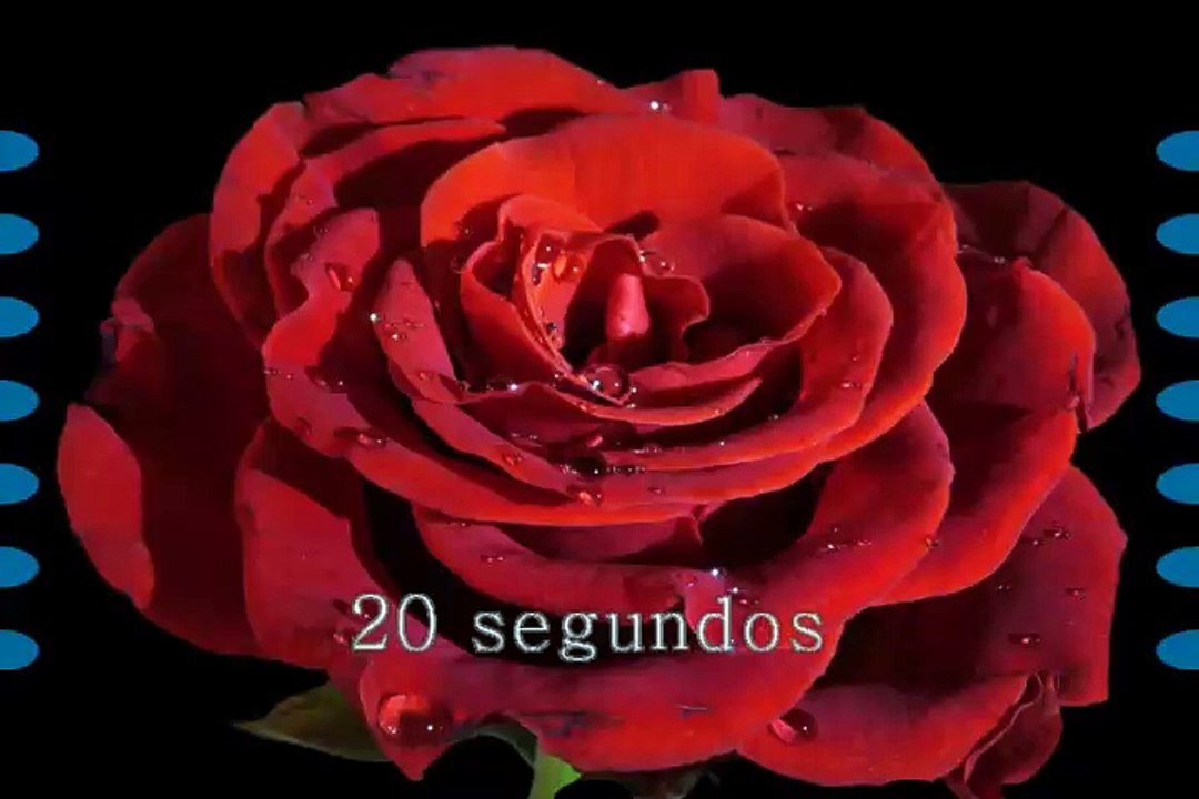 Karaoke - como una flor - Selena