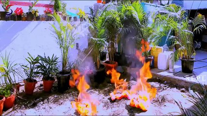 Haunted Child (2014) Hindi Movie *DVD*