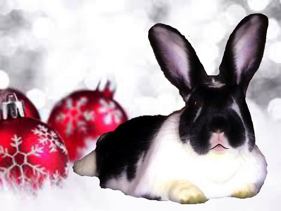 White Christmas