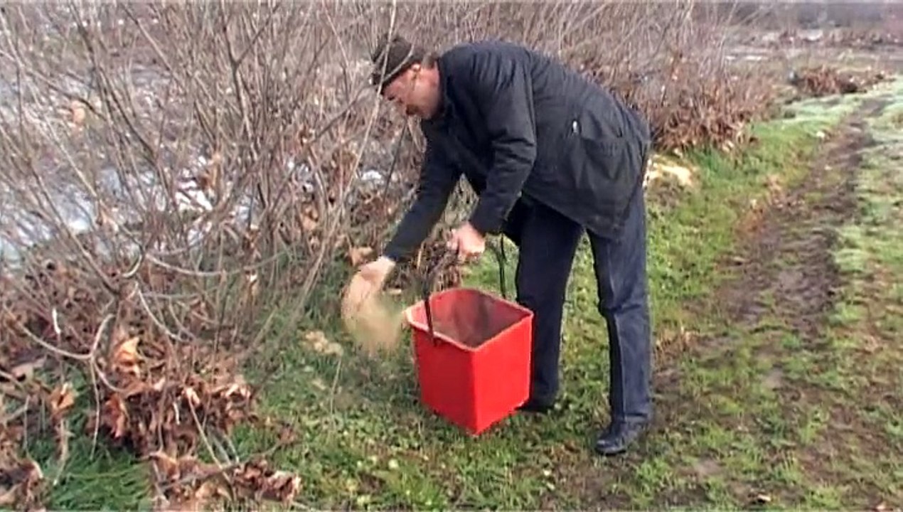 Kuşlar sogukta donmasın diye yemlendiler