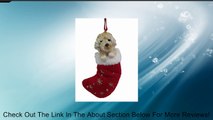 Goldendoodle Christmas Stocking Ornament with 
