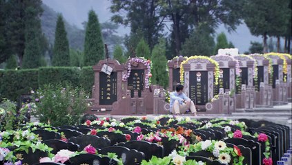 清网行动31【超清720p】