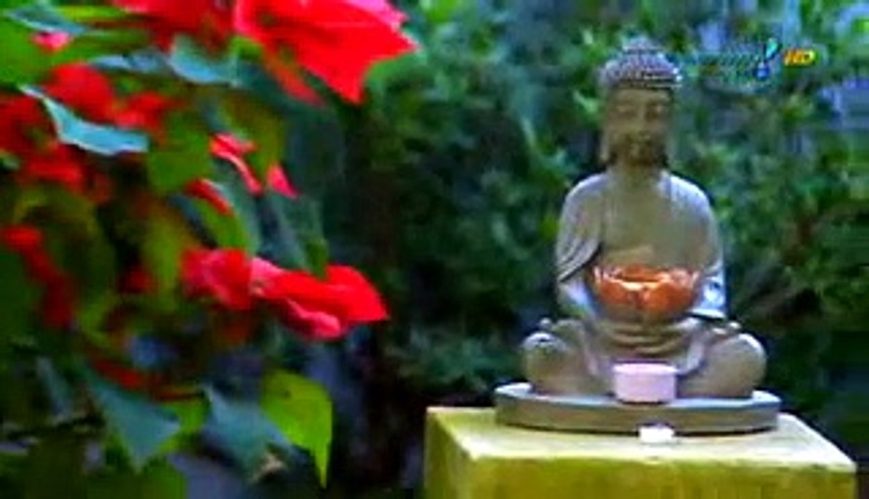 Enigmas do cérebro_-_meditação usada como tratamento para doen_as