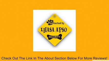 Lhasa Apso Security Review