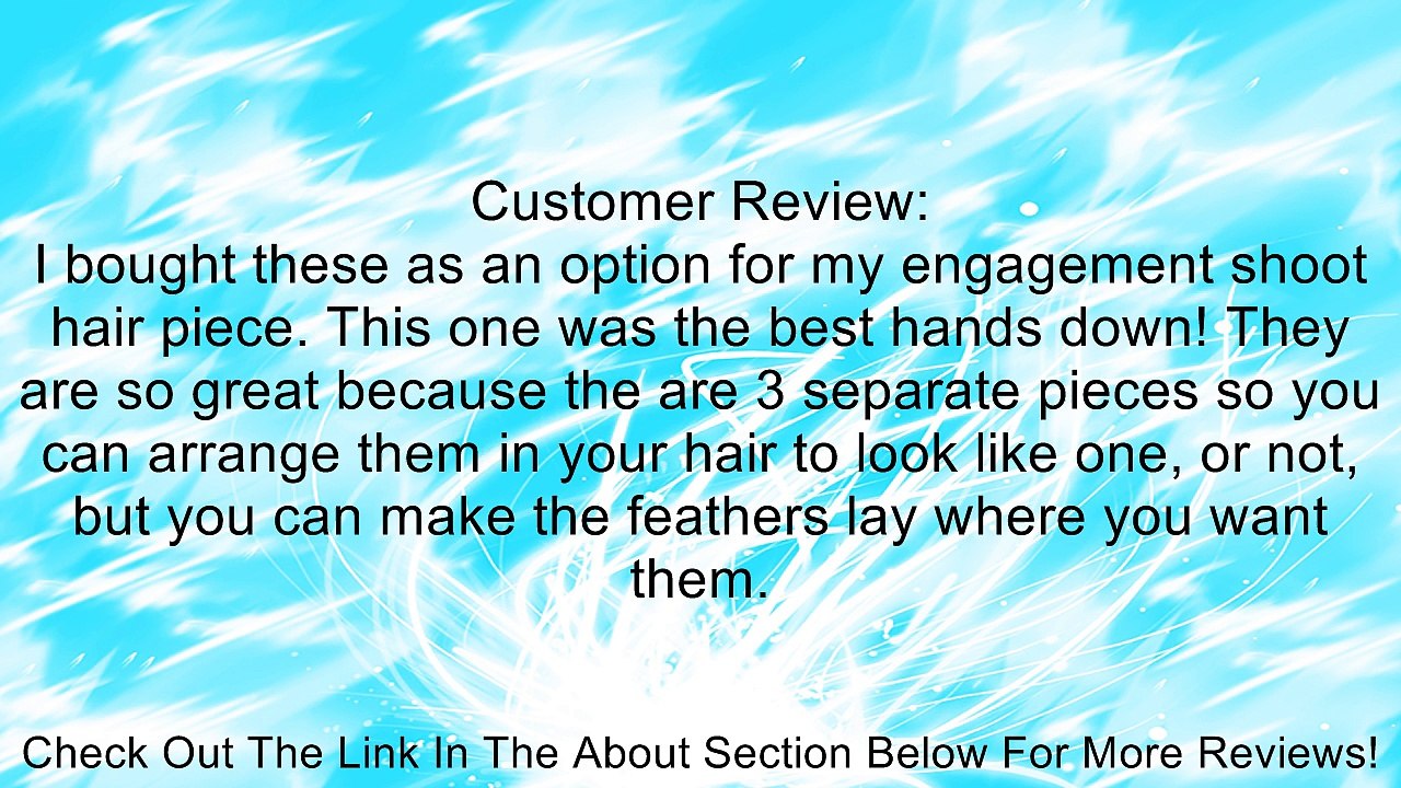 White Crystal and Pearl Bridal Feather Fascinator Headpiece Bridal Flowers/Hair Accessory Wedding Flowers (3 Piece in one set) Review