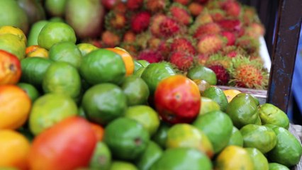 GVI volunteer trip to Costa Rica