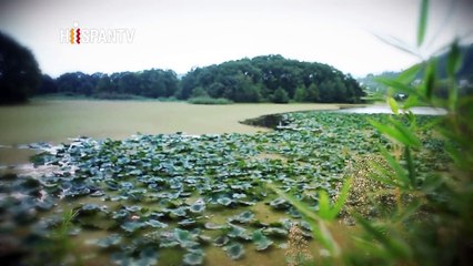 Más allá de la imagen - "Santa María", la versión islámica II