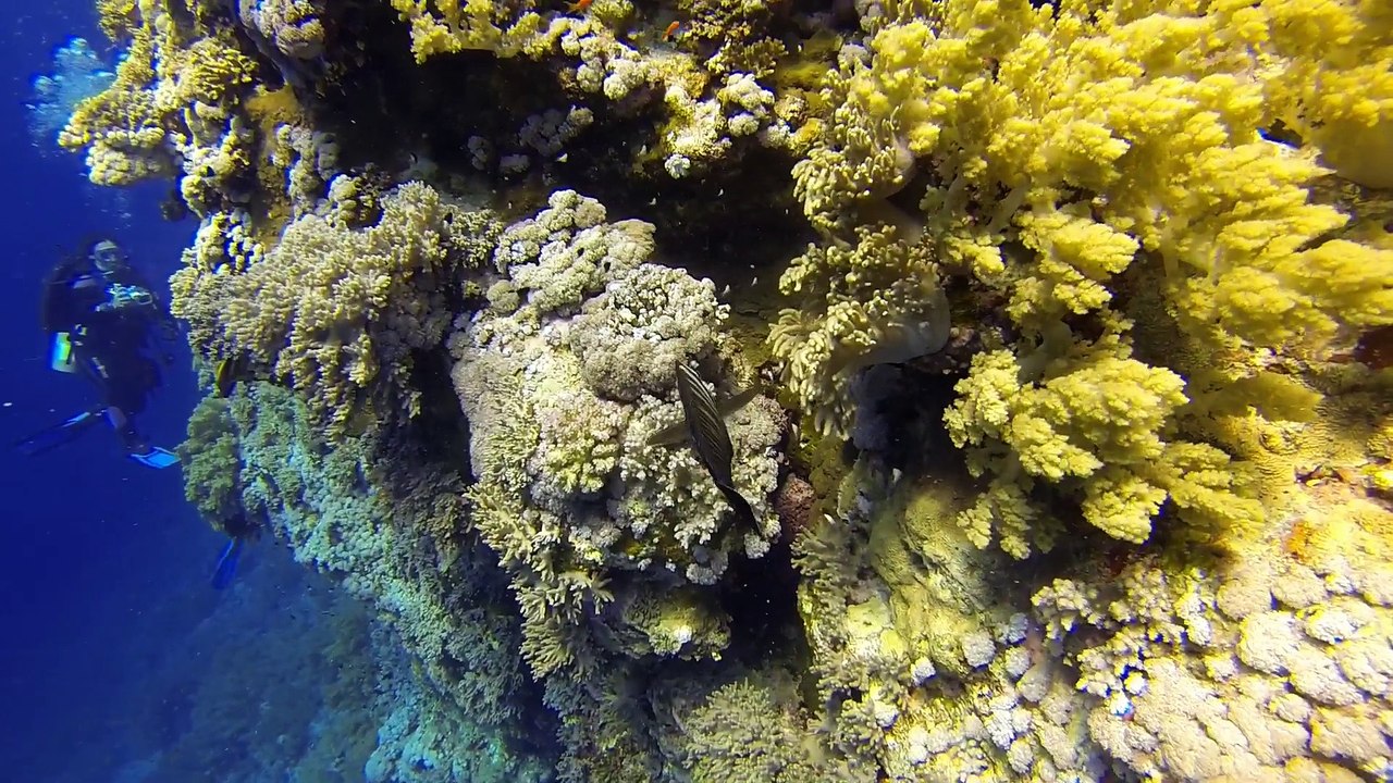 Croisière BDE 24 Novembre 2014