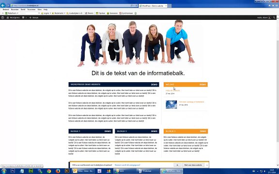 Berichten Wordpress tutorial uitleg Nederlands - Dutch