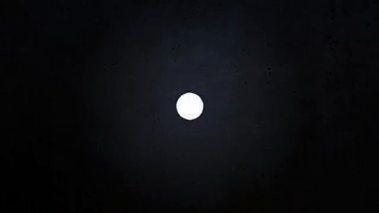 Business jackets for work or leisure & Business Backpacks : School Backpacks