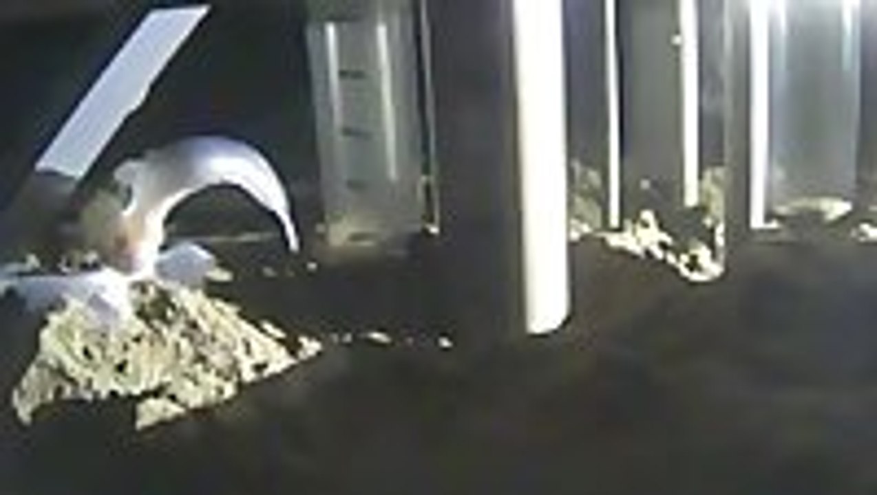 New species discovered