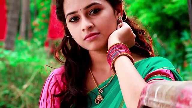 Vellakkara Durai - Ammadi Un Azhagu Lyric _ Vikram Prabhu, Sri Divya
