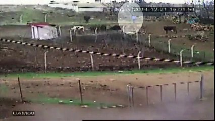 12 yaşındaki çocuk böyle vuruldu