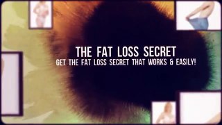 The Fat Loss Secret