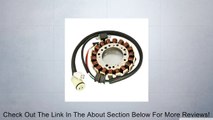 2007-2011 Yamaha Grizzly 350 450 2007-2008 Grizzly 400 Magneto Stator Review