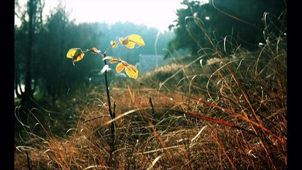 Slideshow With Music Part 01