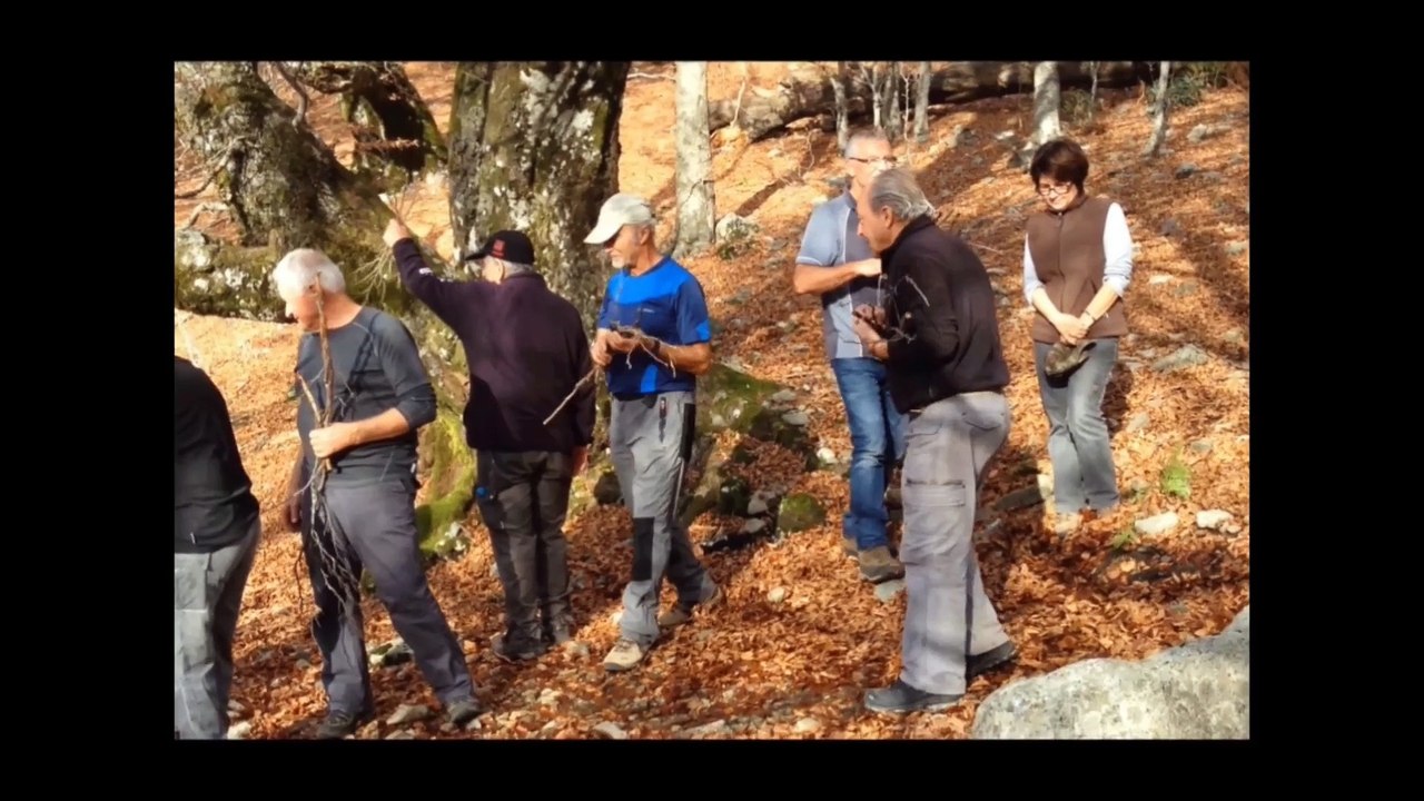 le petit poucet 2014